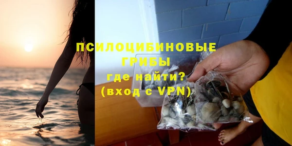 ешки Абинск