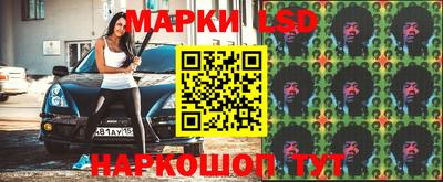 кокс Кингисепп