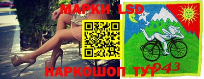 кокс Кингисепп