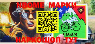 стаф Кинель