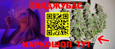 стаф Кинель