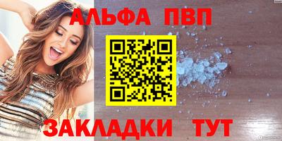 кокс Кингисепп