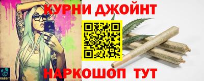 стаф Кинель