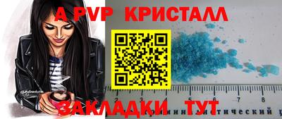 кокс Кингисепп