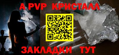 кокс Кингисепп