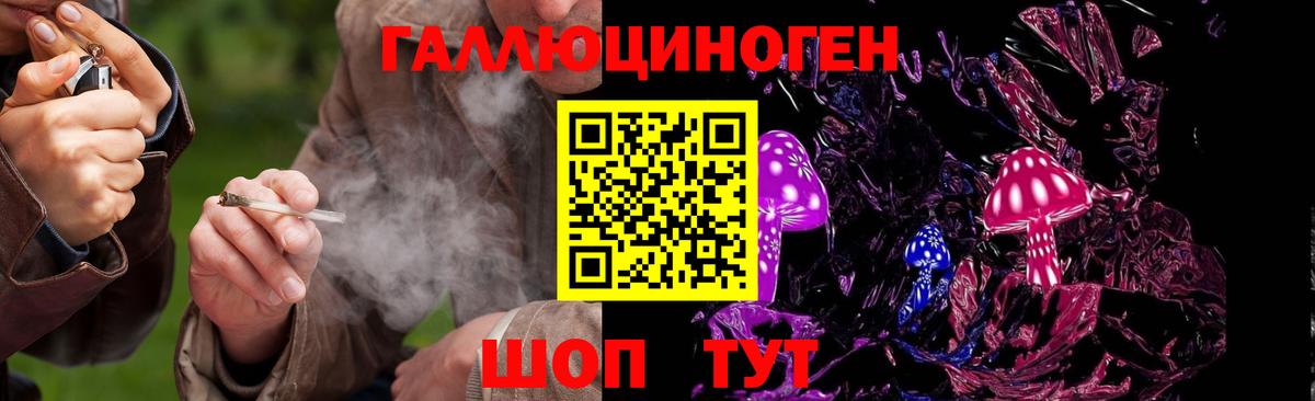 Псилоцибиновые грибы GOLDEN TEACHER  Вход с VPN  Холмск 